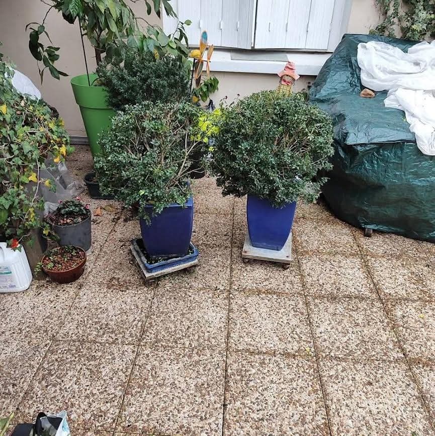 Chantier — Pavie (32550)