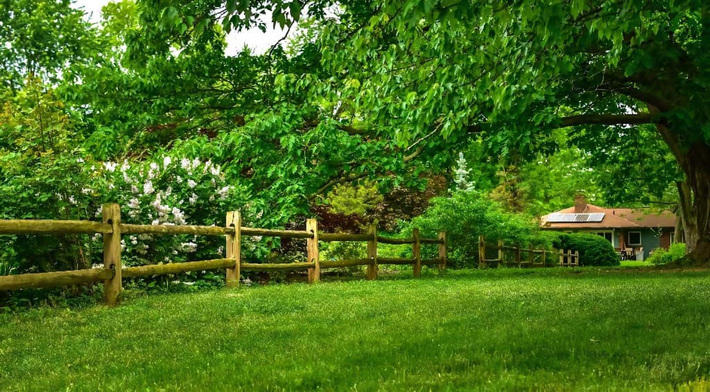 Jardin paysager avec pelouse, clôture en bois et verdure